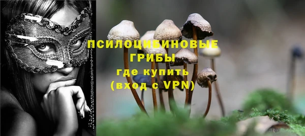 мяу мяу мука Абаза