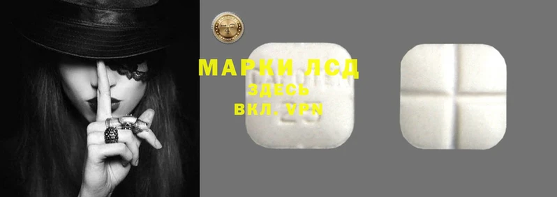 прущие крисы Алзамай